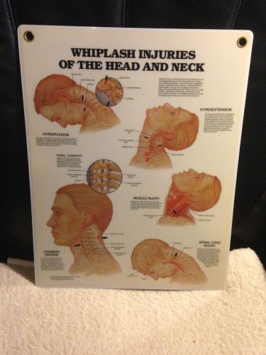 Whiplash Injuries Of The Head And Neck Anatomical Chart  Laminated USED