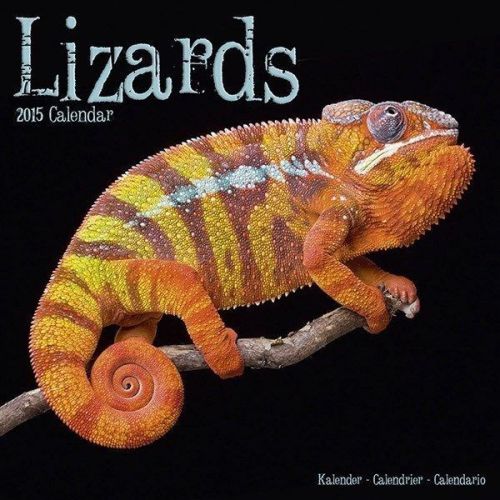 NEW 2015 Lizard Wall Calendar by Avonside- Free Priority Shipping!