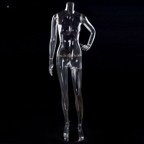 Transparent Headless Plastic Female Model~QianWan Displays