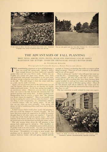 1907 article fall planting gardening advantages floral botanical shrubbery cla1 for sale