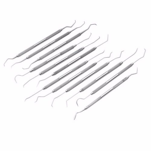 12 Pieces Assorted Dental Scaler Pick Tools Set High Quality Carbon Steel