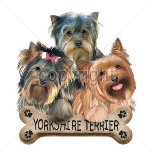 Yorkshire Terrier Dog HEAT PRESS TRANSFER For T Shirt Sweatshirt Fabric 917d