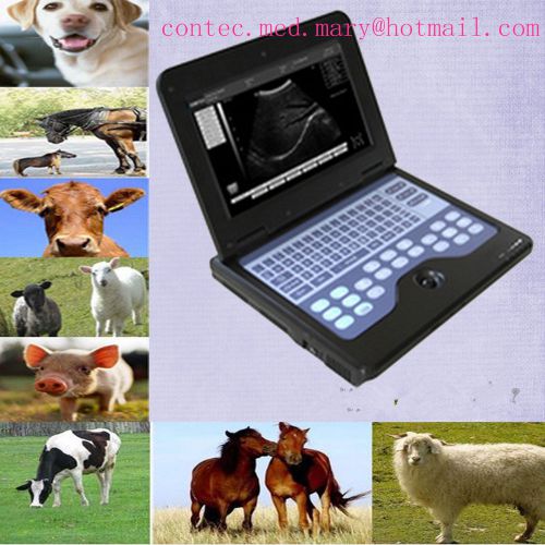 CONTEC 2014 VET Veterinary use,Digital Portable Ultrasound Scanner  Convex Probe