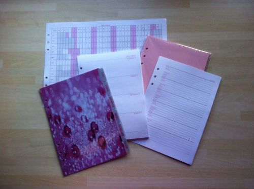 A5 Organiser Filofax Week On 2 Pages 2015 Diary Refill Set. Pink