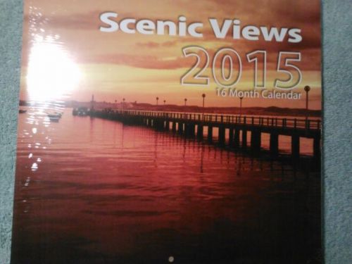 New Scenic Views 16 Month Calendar 2015 Office work job home 11&#034;X 12&#034;