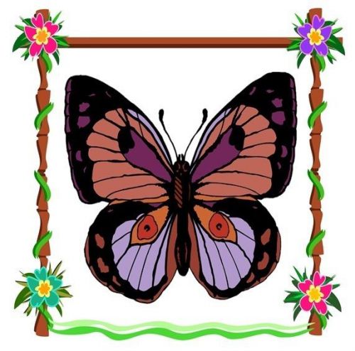 30 Personalized Return Address Butterflies Labels Buy 3 get 1 free (but2)