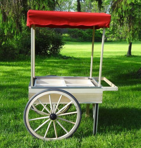 Vending cart, large, stainless liner, wooden box divisions, canopy. high quality for sale