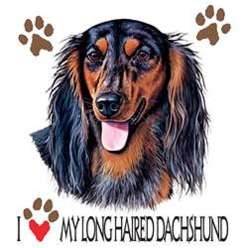 Love my long hair dachshund dog heat press transfer for t shirt sweatshirt 835k for sale