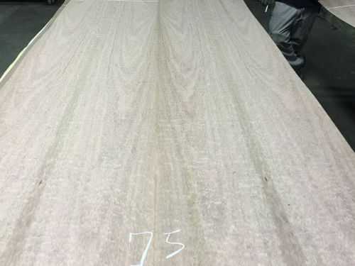 Wood Veneer Pommele Eucalyptus 40x80 1pc total Wood Backed  &#034;EXOTIC&#034; TNA 75-76