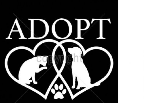 Rescue Pet Adoption HEAT PRESS TRANSFER for T Shirt Sweatshirt Tote Fabric 999j