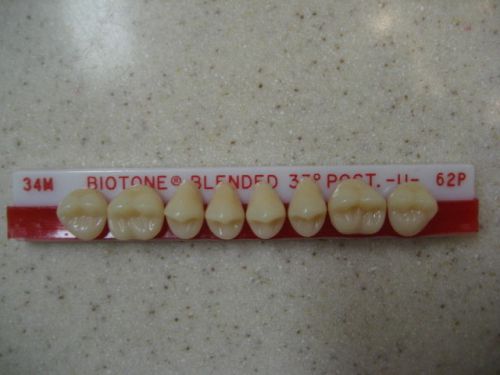 Dentsply Trubyte BioTone 33° Upper Posterior Mould 34M / 62P  Dental Teeth