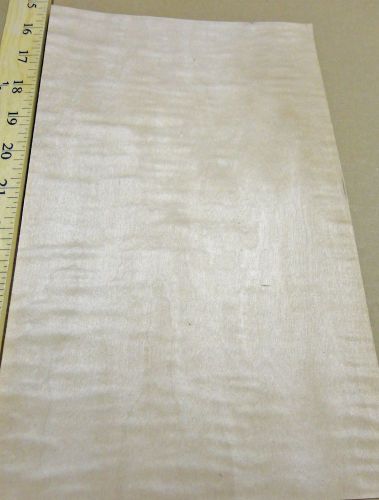 Curly Figured Tiger Maple wood veneer 7&#034; x 11&#034; no backing (raw veneer) &#034;A&#034; grade