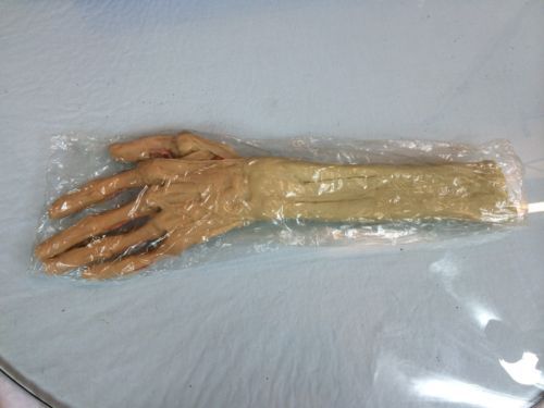 Vintage Nasco Lifeform Anatomical Hand