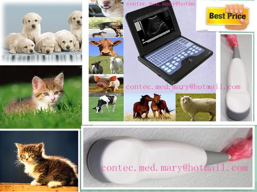 Vet,Digital Portable Ultrasound Scanner Machine for Animal with Micro convex