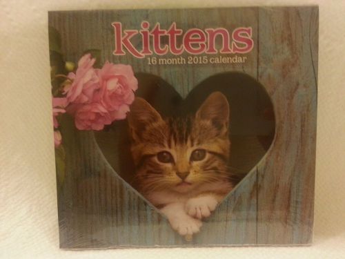2015 16 Month Mini Wall Calendar (Kittens) - NEW