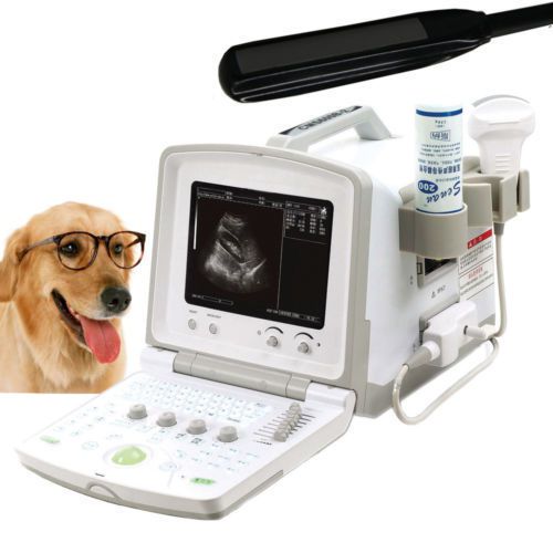 Veterinary Portable Digital Ultrasound Scanner CMS600B2 Diagnostic Vet Scanner