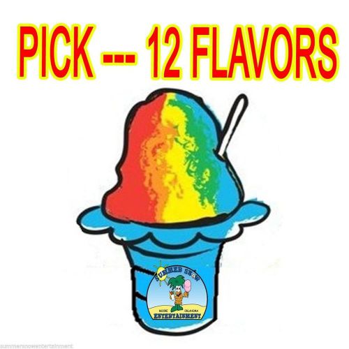 Shaved Ice Sno Cone Flavor Syrup Mix Concentrate Snow Kone Mix  **12 PACK*** 1oz