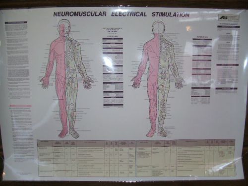 Neuromuscular Electrical Stimulation Anne Hartley Chart 39 1/4 x 27 1/2