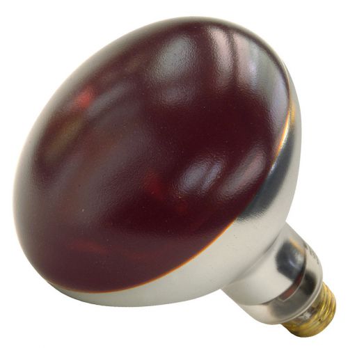 Shat-r-shield 250 watt shatter resistant red heat lamp bulb 01698w for sale