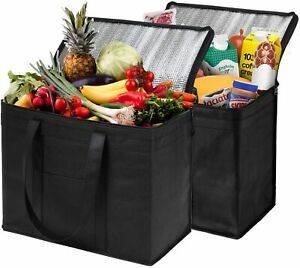 (4 Pack) L Insulated Food Delivery Bags Grocery