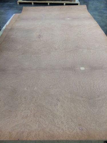 Wood Veneer Redwood Burl 48x98 1pcs total 10mil Paper Backed &#034;EXOTIC&#034; 6880.5