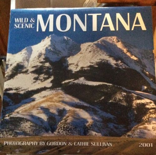 Wild And Scenic Montana 2001 Calendar Sealed