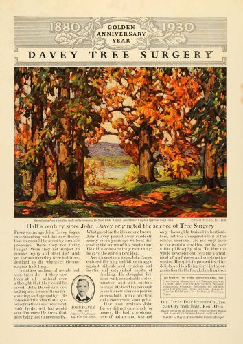 1930 Ad John Davey Tree Expert Golden Anniversary Arbor - ORIGINAL WW3