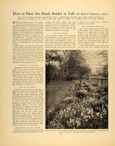 1909 Article Perennial Border Planting Robert Cameron - ORIGINAL GM1
