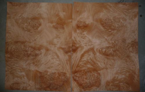 Maple Burl cluster wood veneer 16&#034;x22&#034;