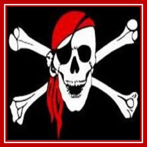 30 Custom Pirate Flag Personalized Address Labels