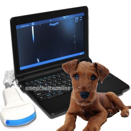 Free 3D Digital Laptop VET Veterinary Ultrasound Scanner +Convex Probe 2014 hot