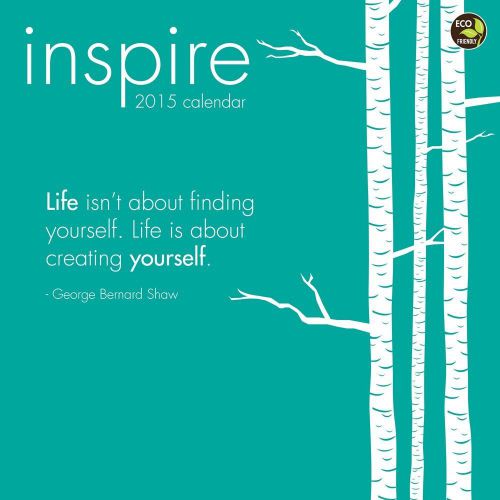 2015 INSPIRE Wall Calendar NEW 12x12 Inspirational &amp; Motivational Quotes
