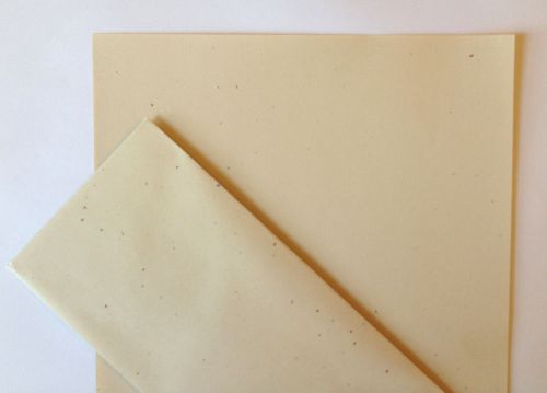 Confetti paper resume invitation - sand - 25 sheets w/ envelopes for sale