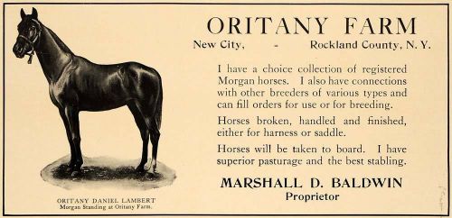 1907 Ad Oritany Farm Morgan Horses Daniel Lampert Farm - ORIGINAL CL4