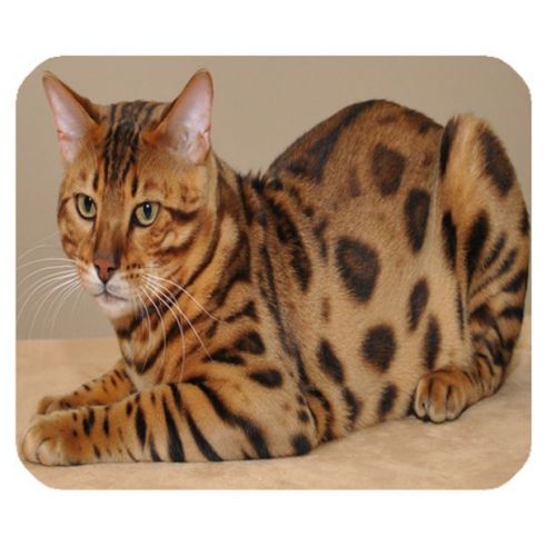 Cute Cat Design Custom Mouse Pad For Gaming Make a Great for Gift