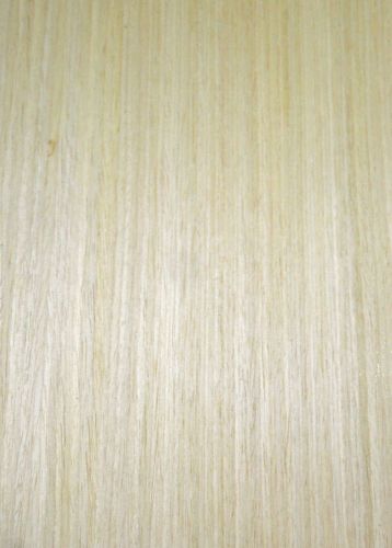 Maple prefinished composite wood veneer 8&#034; x 10&#034; with paper backer 1/40th&#034; thick