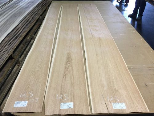 Wood Veneer Hickory 8x108  3Pcs Total Raw Veneer  &#034;EXOTIC&#034; HIT 125