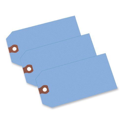 Avery Shipping Tags, Paper, 4.75 x 2.375 Inches, Blue, Pack of 1000 (12355)