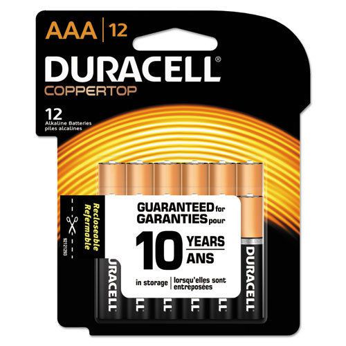 Coppertop alkaline batteries with duralock power preserve technology, aaa, 12/pk for sale