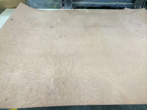Wood Veneer Redwood Burl 49x52 1pcs total 10mil Paper Backed &#034;EXOTIC&#034; 6880.9
