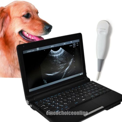 Vet digital laptop ultrasound scanner machine+microconvex probe f little amimal for sale