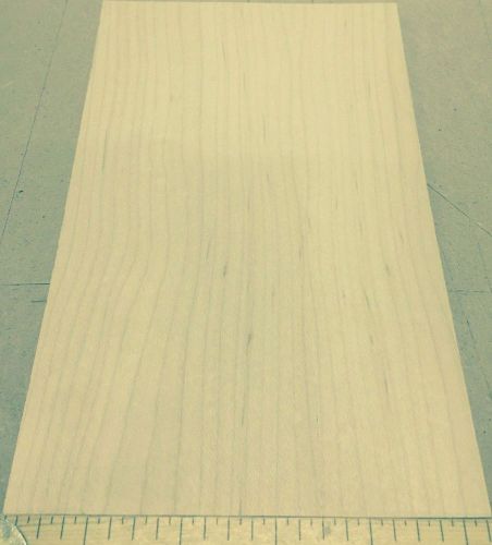 Maple wood veneer 5&#034; x 8&#034; with phenolic backer&#034;A&#034; grade quality 1/20th&#034; thick