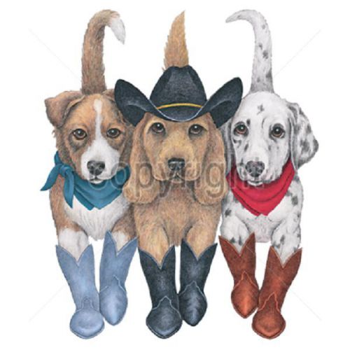 Western Cowboy Boot Dog HEAT PRESS TRANSFER for T Shirt Sweatshirt Fabric 913e