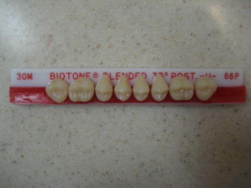 Dentsply Trubyte BioTone 33° Upper Posterior Mould 30M / 66P  Dental Teeth