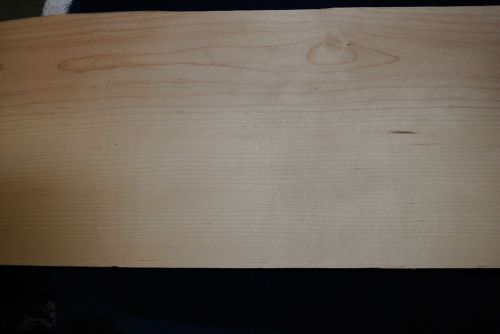 Paper Backed Maple Veneer  8in wide x 11 ft long   FREE SHIPPING