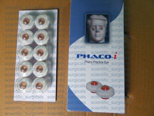 Phaco practice eye (pack of 10 pcs) - ophthalmic teaching &amp; training devices bbh for sale