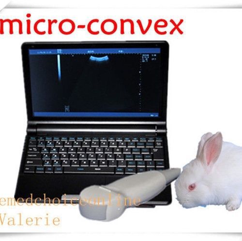 Vet digital laptop ultrasound scanner machine+microconvex probe amimal big sale for sale