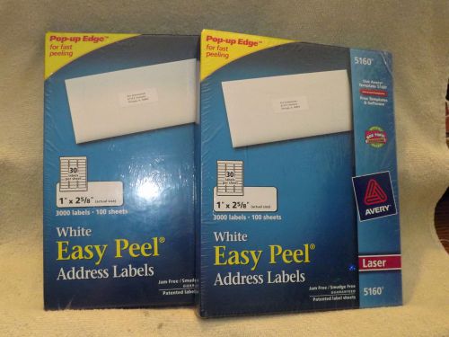 2 Packs Avery White Easy Peel Return Address Labels 5160 6000 Labels Total
