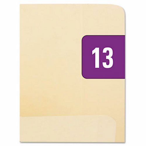 Smead Year 2013 End Tab Folder Labels, 1/2 x 1, 250 Labels per Pack (SMD67913)