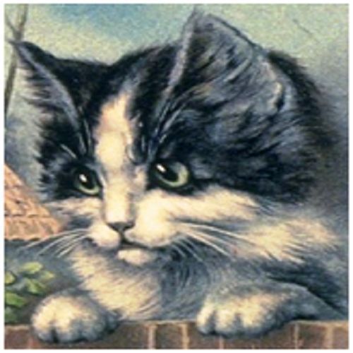 30 Custom Vintage Kitten Personalized Address Labels